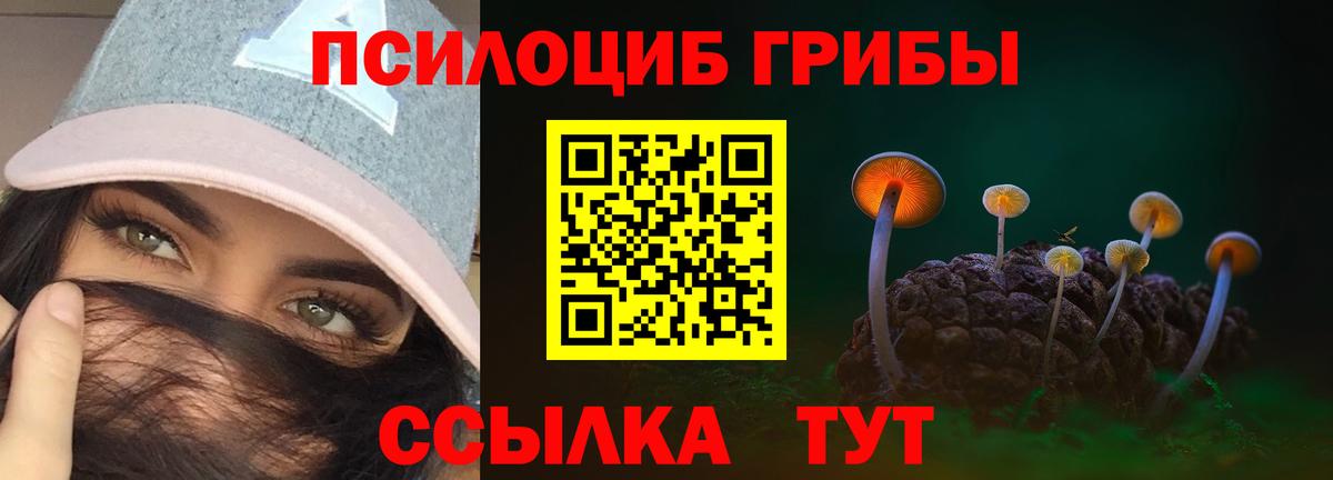 Жигулёвск  цена наркотик  Вход с VPN  Галлюциногенные грибы MAGIC MUSHROOMS 